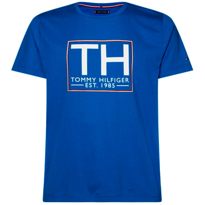 Camiseta Tommy Hilfiger Masculino MW0MW12605-C65-00 S Cobalt