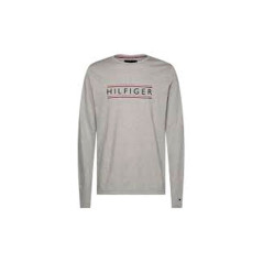 Camiseta Tommy Hilfiger Masculino MW0MW12609-P9V-00 L...