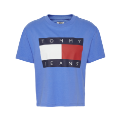 Camiseta Tommy Hilfiger Feminina M/C DW0DW07153-CKU-00 L...