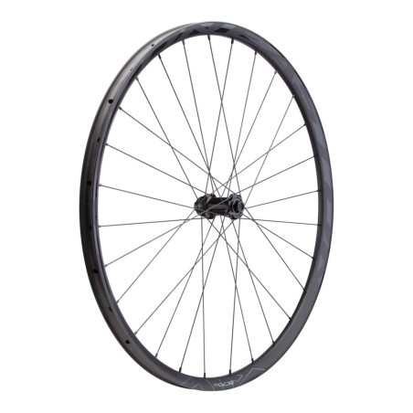 Roda Para Bicicleta 29 Easton EC70 Carbon