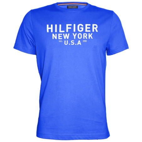 Camiseta Tommy Hilfiger Masculino MW0MW03573-491 L Azul