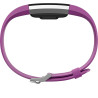 Monitor de Frequência Cardíaca Fitbit Charge 2 Bluetooth - Roxo