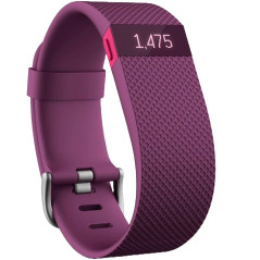 Fitbit FB405PMS Heart Rate & Activity Monitor – Purple