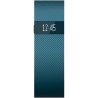 Fitbit FB404SLS Activity Tracker - Blue, AMOLED, Bluetooth 4.0
