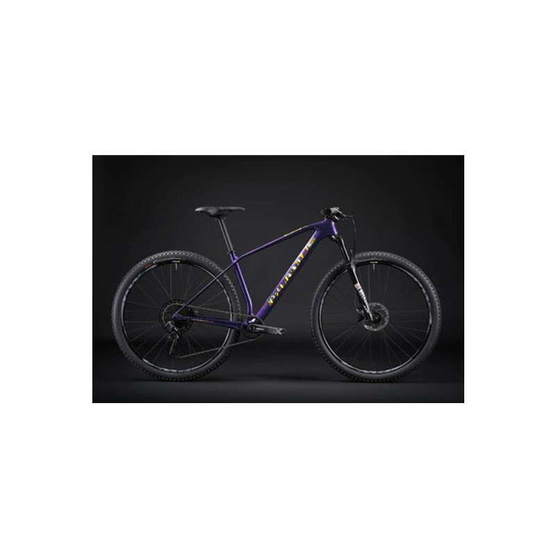 BIKE 29*19.5  PARDUS ROCKCRUSHER PRO-SX