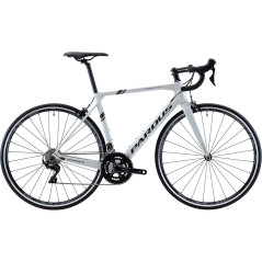 BIKE 700*47CM PARDUS ROBIN SPORT-105  -