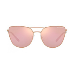Gafas de sol AX2045S Armani Exchange Rose Gold - Premium
