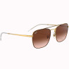 Óculos Ray Ban Unissex RB3588 905513 55 - Marrom Polido sobre Ouro
