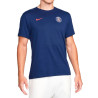 Camiseta Nike Masculino Paris Saint Germain L Azul - FQ7118410