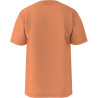 Camiseta VANS Masculino Classic Print Box L – Laranja VN0A5E7YD05