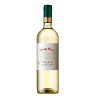 Don Luis Sauvignon Blanc Dry 750ML - Chilean Wine, 13º