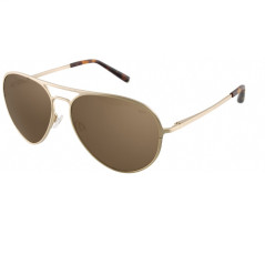 BMW Men's Sunglasses SUNBMW6500-010 - Gold, Brown Lenses