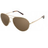 Gafas BMW Masculinas SUNBMW6500-010 - Dorado, Lentes Marrones