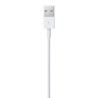 Cabo Apple USB-A/Lightning 1M – MXLY2AM/A