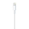 Cabo Apple USB-A/Lightning 1M – MXLY2AM/A