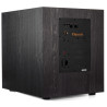 Subwoofer Klipsch SPL-120NA Amplificado 300W RMS/600W Pico 12 Bivolt (UND) Preto