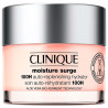 Creme Hidratante Clinique Moisture Surge KWW6-01 100HS 125ML