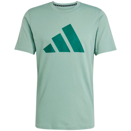 Camiseta adidas Masculino TR-ES FR Logo T S Verde - JC5344