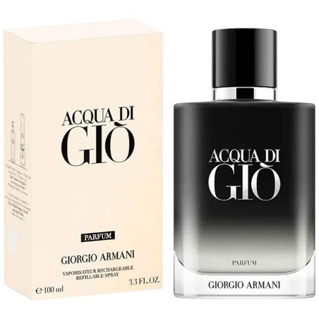 Perfume Giorgio Armani Acqua Di Gio Eau de Parfum Masculino 100ML