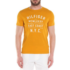 Camiseta Tommy Hilfiger Masculino MW0MW00820-707 XXL...