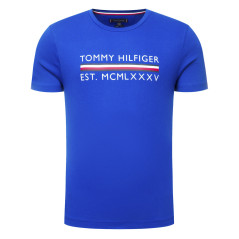 Camiseta Masculina Tommy Hilfiger MW0MW12511-C65-00 S