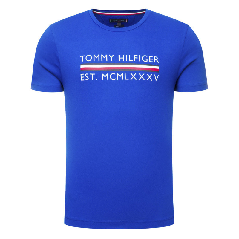 Camiseta Masculina Tommy Hilfiger MW0MW12511-C65-00 S