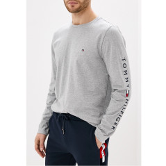 Camiseta Tommy Hilfiger Masculino MW0MW12514-P9V-00 M...
