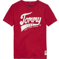 Camiseta Tommy Hilfiger Infantil Masculino M/C...