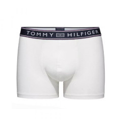 Cueca Tommy Hilfiger Masculino 1U87906049-100 L Branco