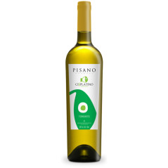 Pisano Torrontes Cisplatino Wine 750ML – Traditional...