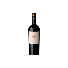Tabali Reserva Carmenere Wine 750ML - 7804300126971