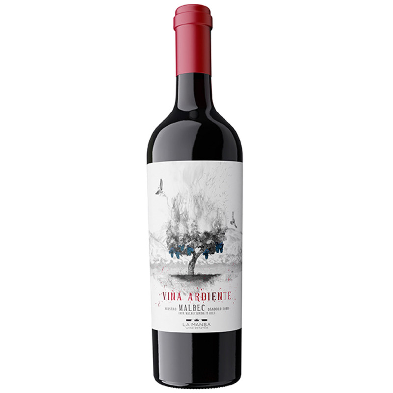 Vinho Viña Ardiente 750ML - 7798114094635