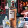 Vodka Absolut Elyx 1 L - 7312040211012