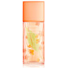 Perfume Elizabeth Arden Green Tea Nectarine Blossom Eau de Toilette Feminino 100ML