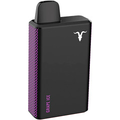 Vape Descartável Ignite V40 4000 Puffs  Grape Ice - 5% Nicotina Bateria Recarregável 400 mAh