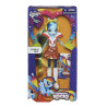 Boneca Hasbro My Little Pony A6775 Rainbow Dash
